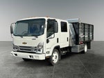 2025 Chevrolet Low Cab Forward 4500 MEDIUM ASH GRAY