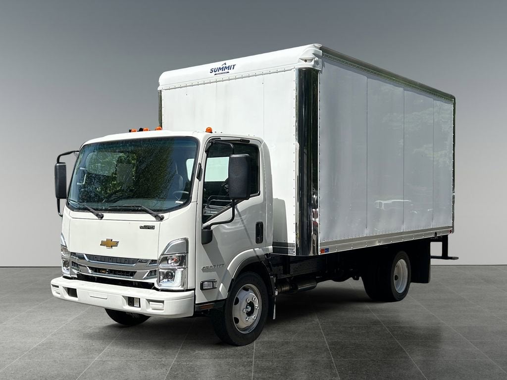 2024 Chevrolet Low Cab Forward 4500 MEDIUM ASH GRAY