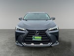 2022 Lexus NX 350 Base