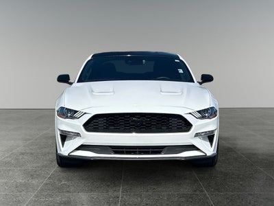 2021 Ford Mustang EcoBoost