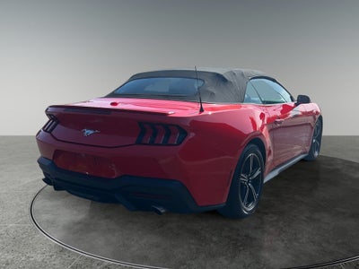 2025 Ford Mustang EcoBoost Premium