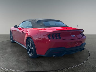 2025 Ford Mustang EcoBoost Premium