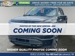 2024 Ford F-150 Lightning Platinum