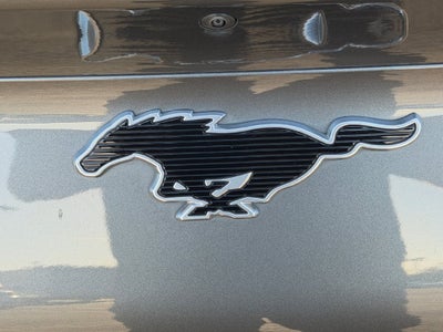 2023 Ford Mustang Mach-E California Route 1
