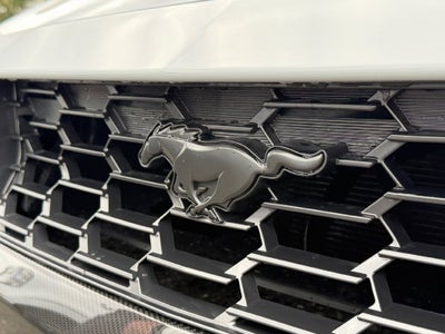 2026 Ford Mustang Dark Horse