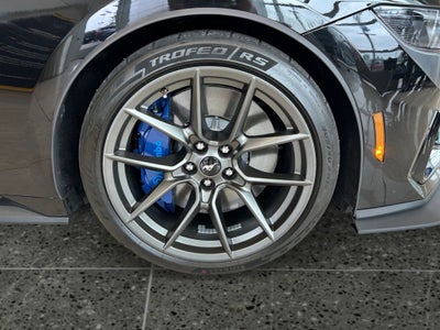 2025 Ford Mustang Dark Horse