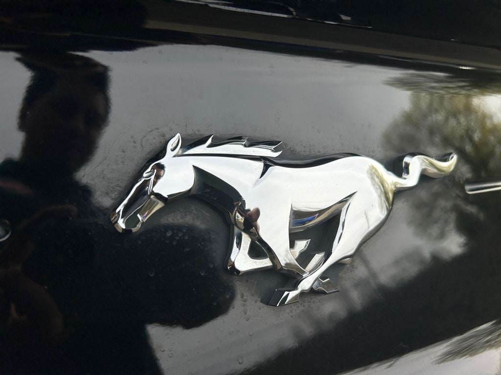 2020 Ford Mustang EcoBoost