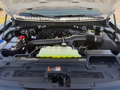 2026 Ford Expedition Active