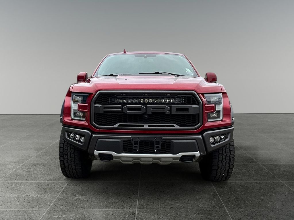 2019 Ford F-150 Raptor