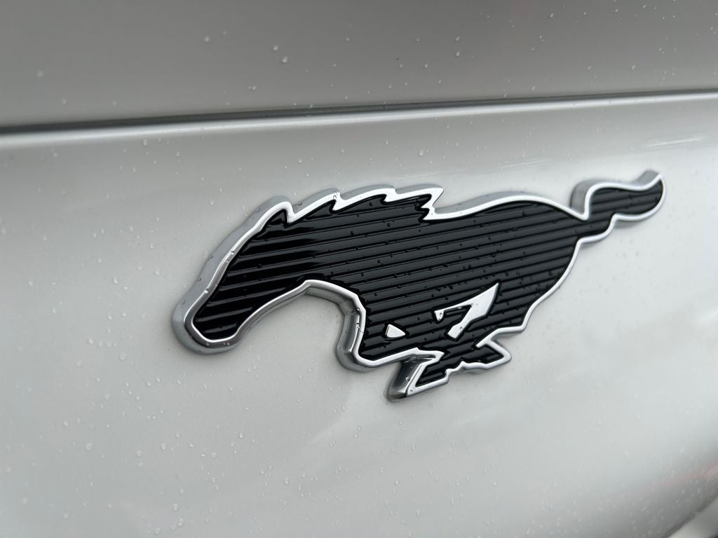 2024 Ford Mustang Mach-E Premium