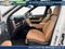 2027 Hyundai Santa Fe Hybrid Calligraphy