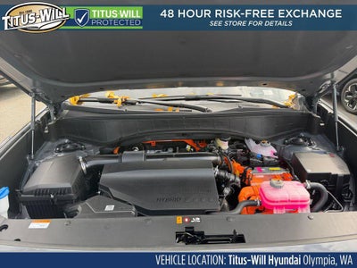 2027 Hyundai Palisade Hybrid Calligraphy Black Ink