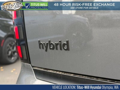 2027 Hyundai Palisade Hybrid Calligraphy Black Ink
