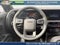 2027 Hyundai Palisade Hybrid Calligraphy Black Ink