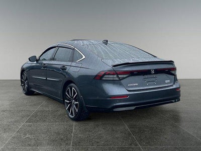 2024 Honda Accord Touring