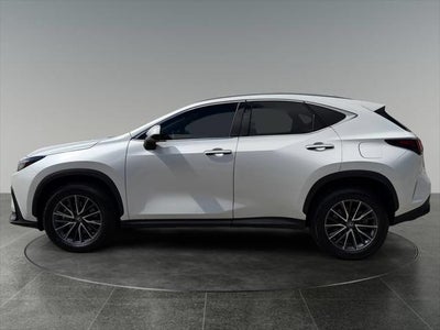 2023 Lexus NX 350 Premium