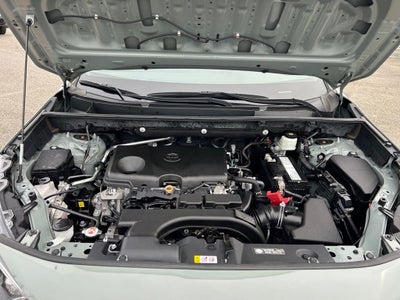 2019 Toyota RAV4 Adventure