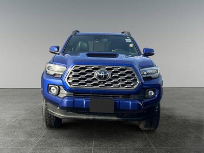 2023 Toyota TACOMA TRD SPORT TRD Sport V6