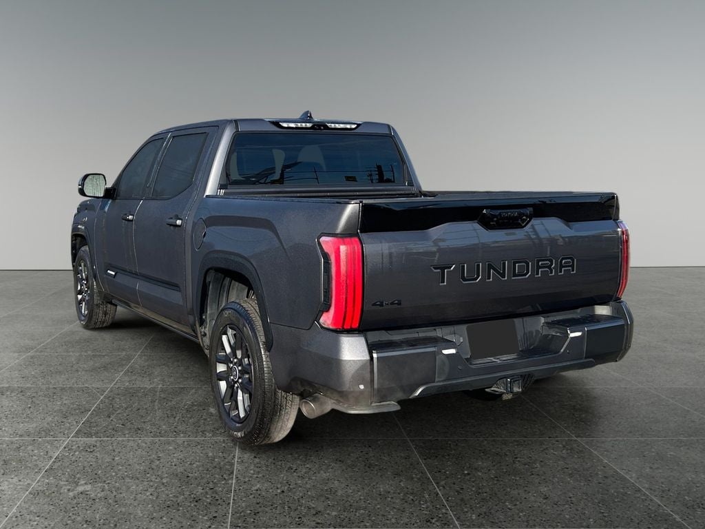 2023 Toyota TUNDRA 4X4 Platinum