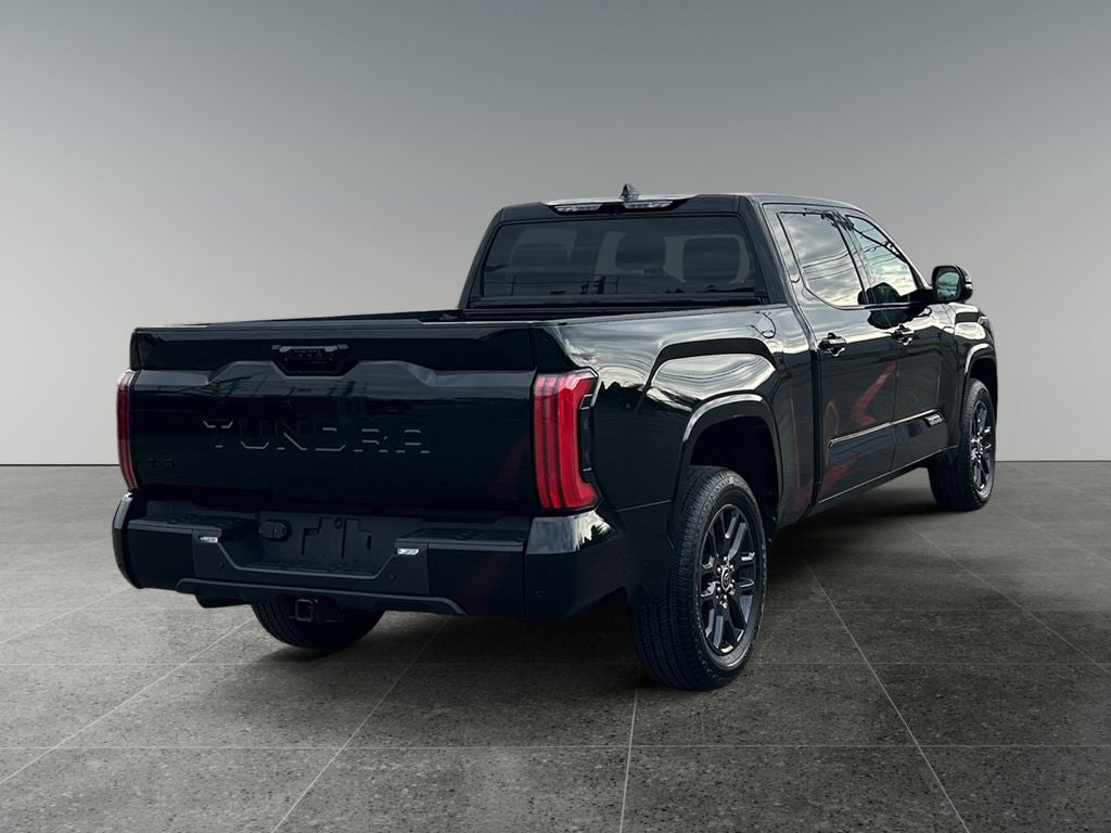 2023 Toyota TUNDRA 4X4 Platinum