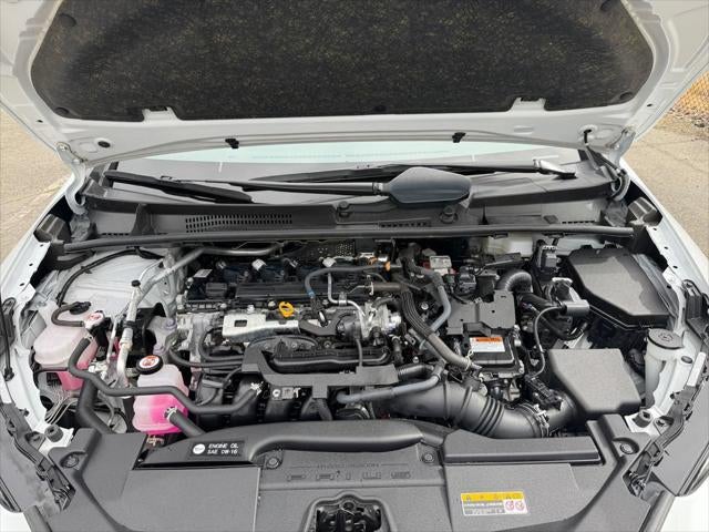 2023 Toyota Prius XLE