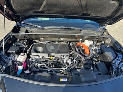 2021 Toyota Venza XLE XLE