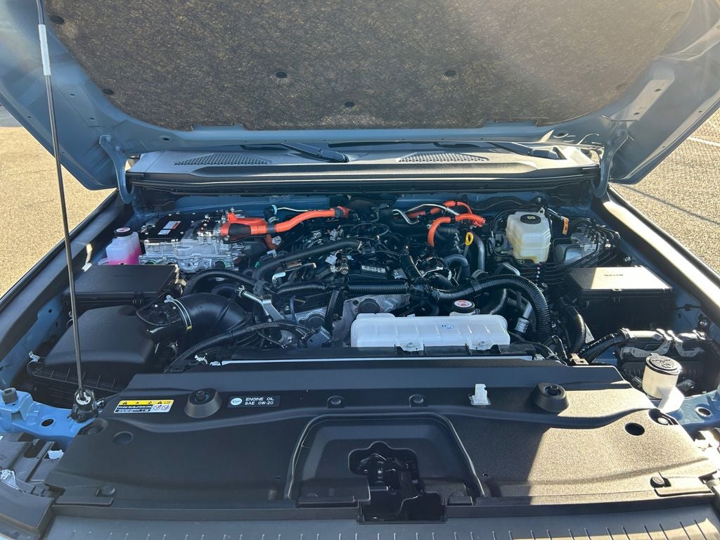 2025 Toyota LAND CRUISER 4WD (Natl)