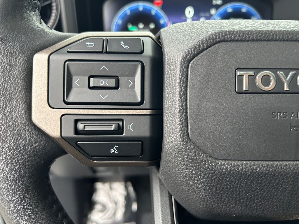 2025 Toyota LAND CRUISER 4WD (Natl)