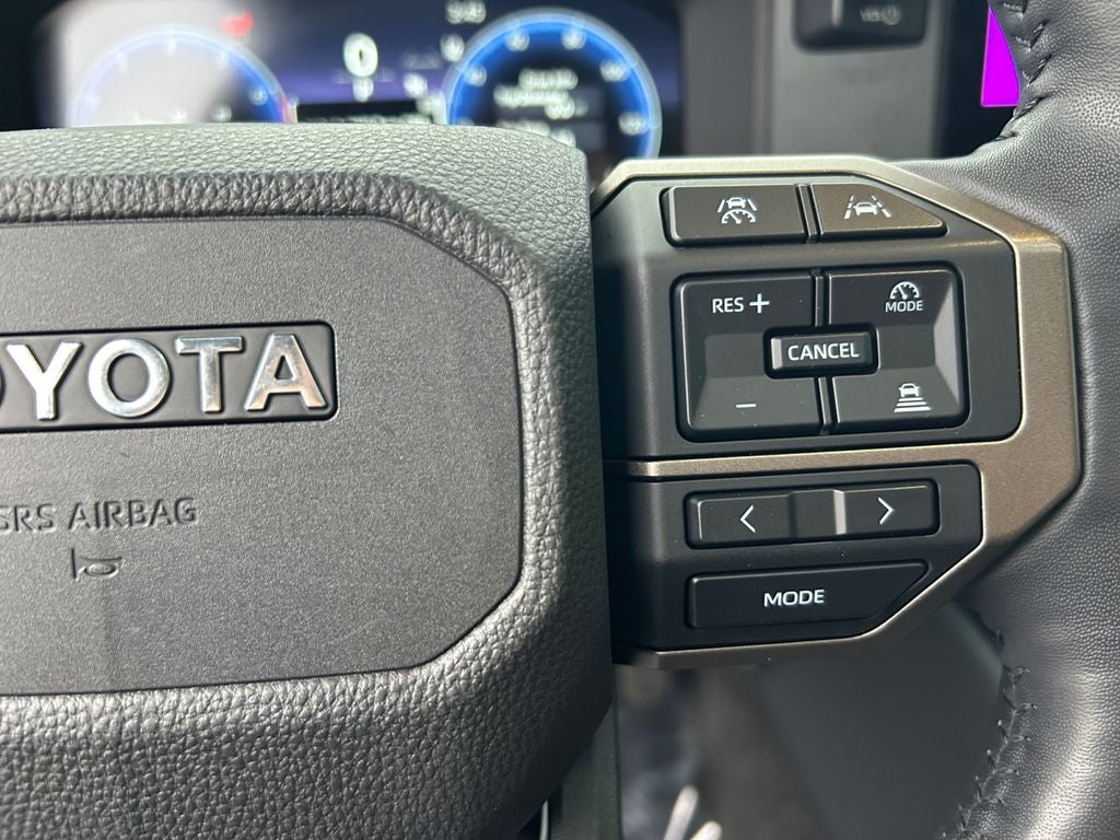 2025 Toyota LAND CRUISER 4WD (Natl)