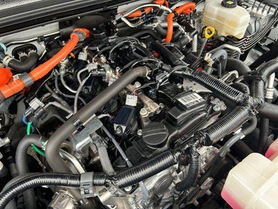 2025 Toyota LAND CRUISER 4WD (Natl)