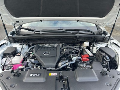 2025 Lexus NX 350 350 Premium