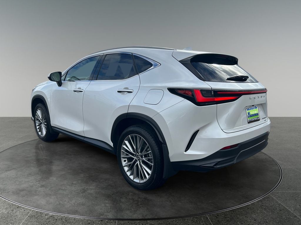2025 Lexus NX 350 350 Premium