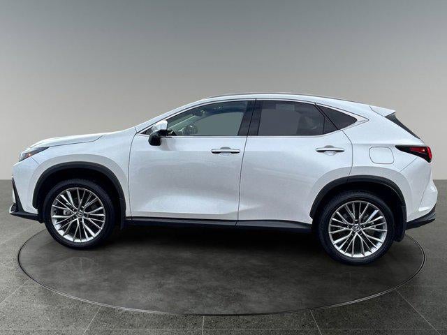 2025 Lexus NX 350 350 Premium