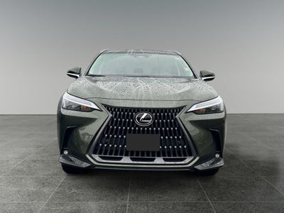 2025 Lexus NX 350h Premium
