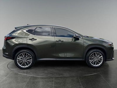 2024 Lexus NX 350h Luxury
