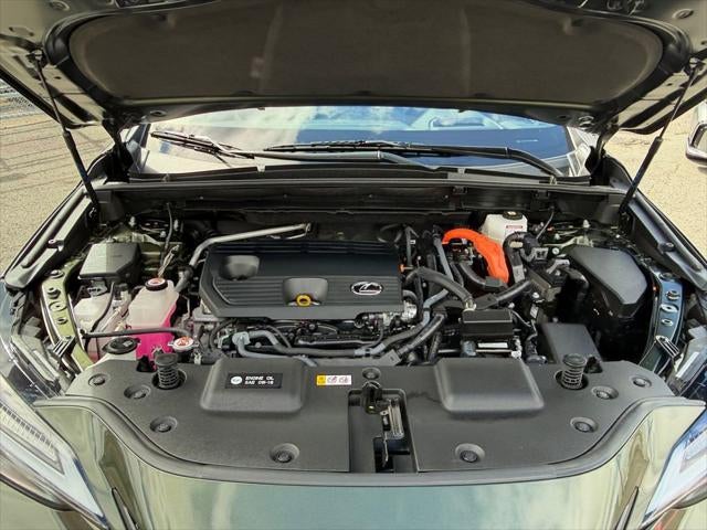 2024 Lexus NX 350h Luxury