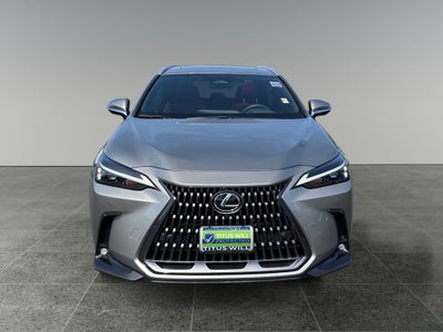 2025 Lexus NX 350h Premium
