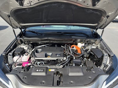 2025 Lexus NX 350h Premium