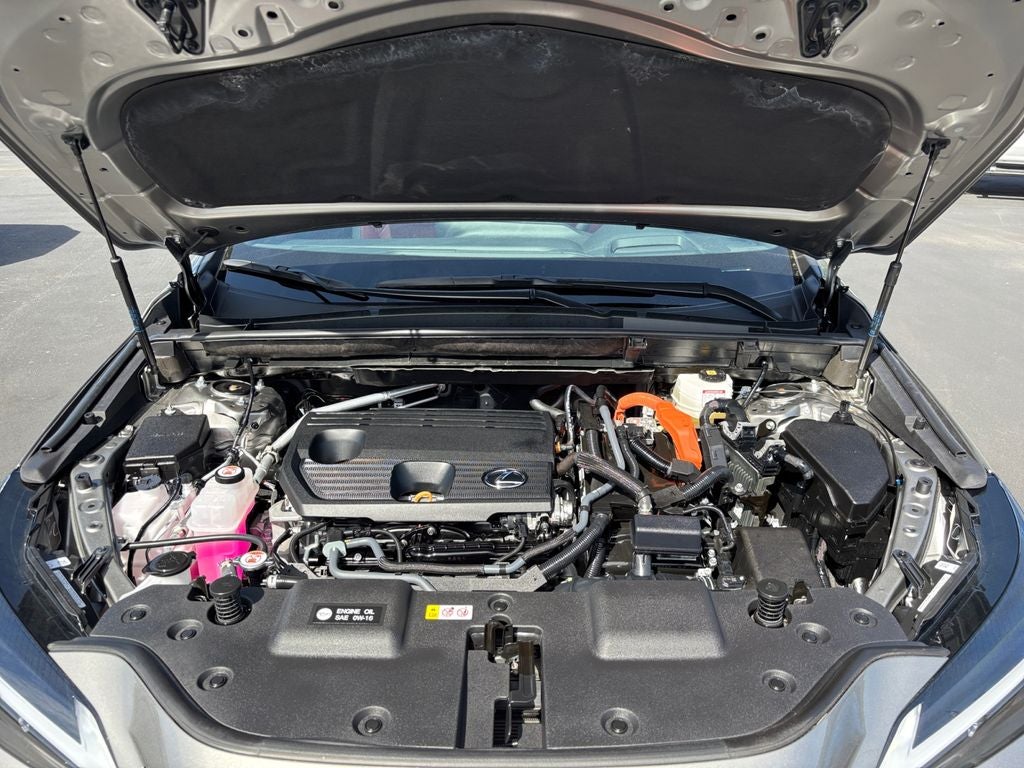2025 Lexus NX 350h Premium