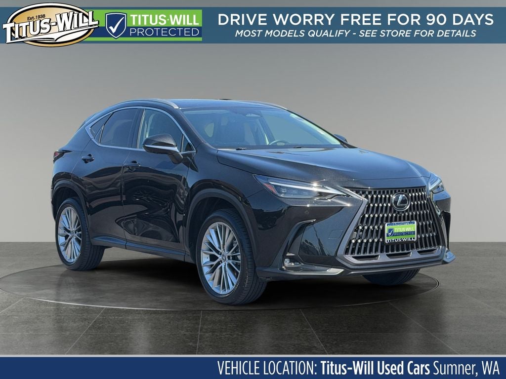 2024 Lexus NX 350h Luxury