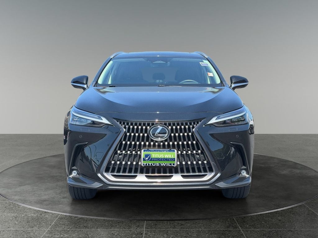 2024 Lexus NX 350h Luxury