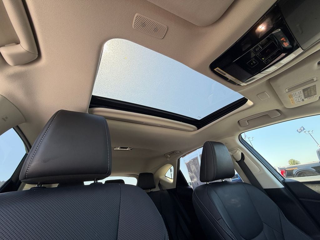 2024 Lexus NX 350h Luxury