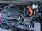 2024 Lexus NX 350h Luxury