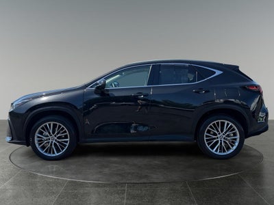 2024 Lexus NX 350h Luxury