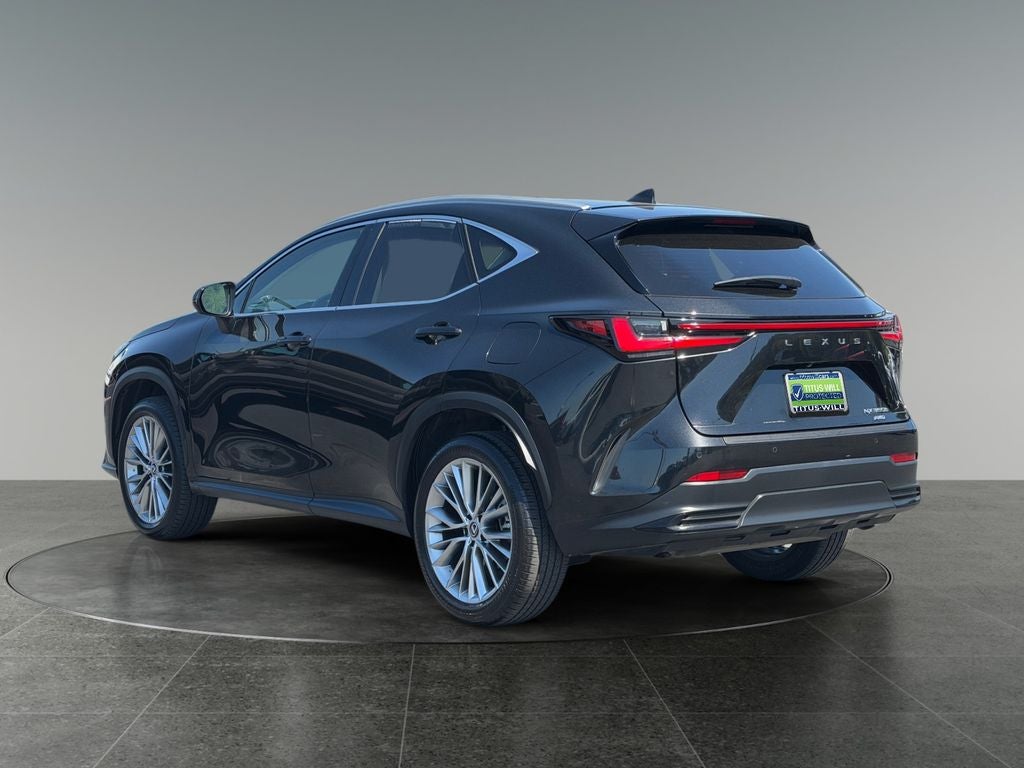2024 Lexus NX 350h Luxury