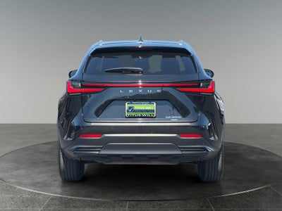 2024 Lexus NX 350h Luxury